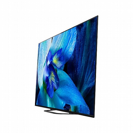 �������� Sony KD65AG8BAEP ����