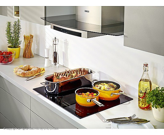 ������ ��������� Zanussi ZEM6740FBA